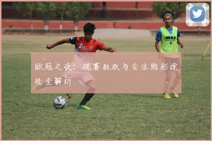 欧冠之夜：观赛狂欢与合法购彩途径全解析