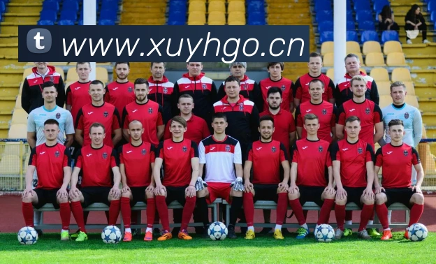 App Interface Preview